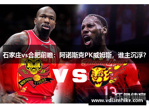 石家庄vs合肥前瞻：阿诺斯克PK威姆斯，谁主沉浮？
